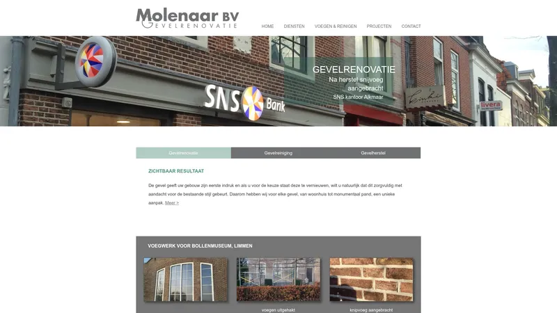 Website van Molenaar Gevelrenovatie