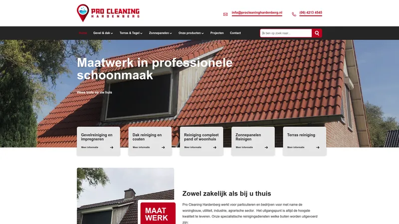 Website van Pro cleaning Hardenberg